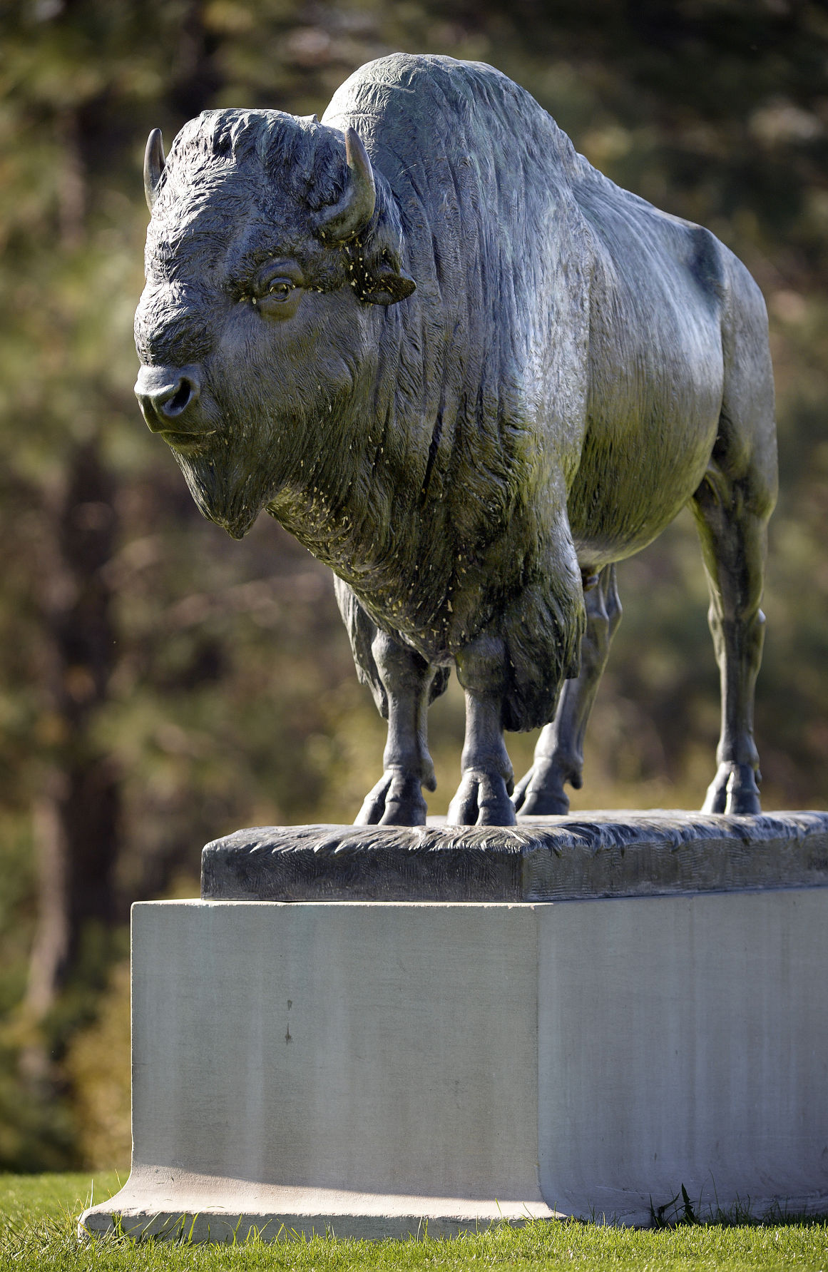 5. Buffalo, Pioneers Park